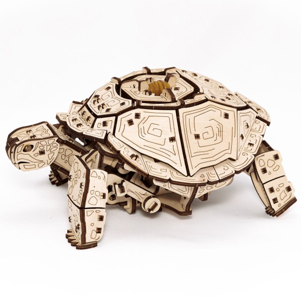 Eco Wood Art: Turtle